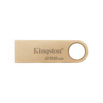 KINGSTON Chiavetta USB DTSE9 G3 256 GB