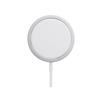 APPLE Caricabatterie MagSafe USB-C (1m)